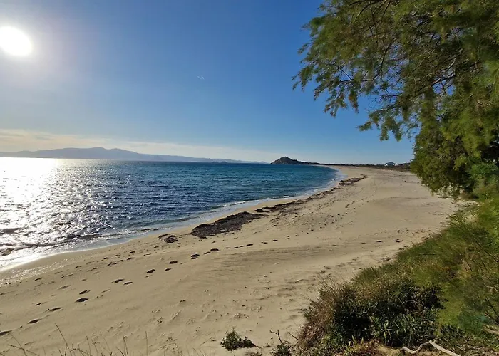 Meraki アパート *